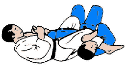 juji_gatame.gif